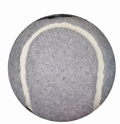 Walker Ball Glides