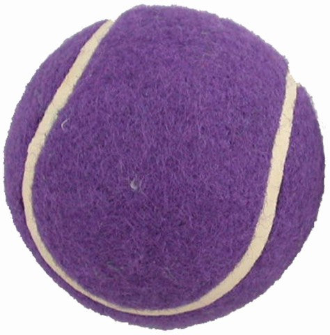 Walker Ball Glides