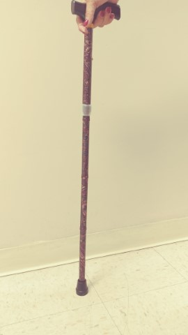 Fancy Folding Cane